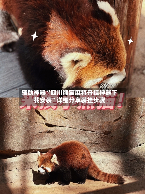 辅助神器“四川熊猫麻将开挂神器下载安装	”详细分享装挂步骤-第3张图片