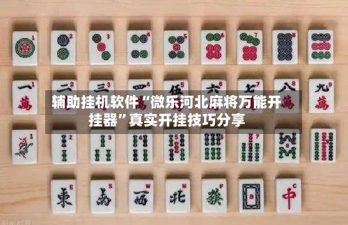 辅助挂机软件“微乐河北麻将万能开挂器”真实开挂技巧分享-第2张图片