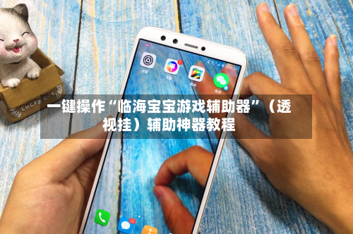 一键操作“临海宝宝游戏辅助器”（透视挂）辅助神器教程