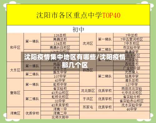 沈阳疫情集中地区有哪些/沈阳疫情那几个区