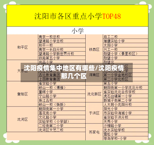 沈阳疫情集中地区有哪些/沈阳疫情那几个区-第2张图片