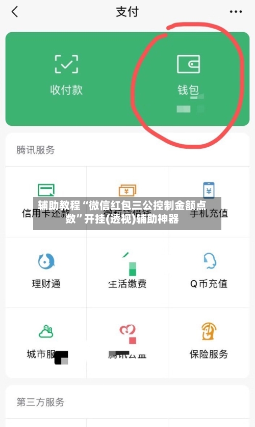 辅助教程“微信红包三公控制金额点数”开挂(透视)辅助神器-第3张图片