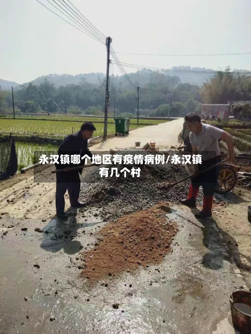 永汉镇哪个地区有疫情病例/永汉镇有几个村