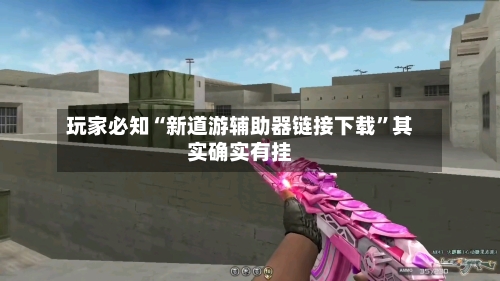 玩家必知“新道游辅助器链接下载”其实确实有挂-第3张图片