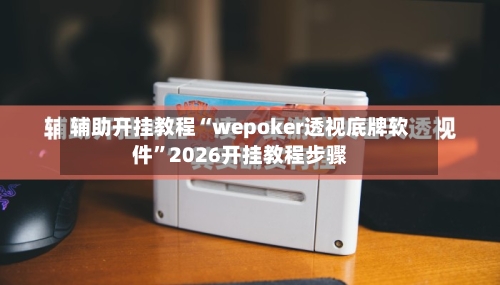 辅助开挂教程“wepoker透视底牌软件”2026开挂教程步骤-第3张图片