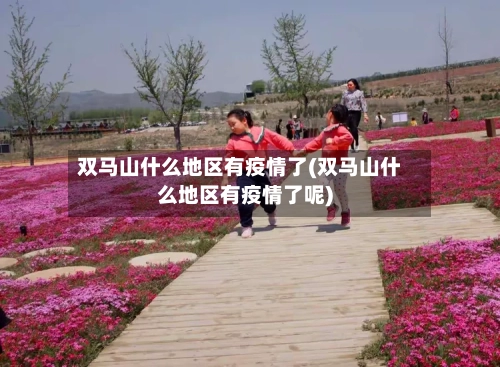 双马山什么地区有疫情了(双马山什么地区有疫情了呢)-第2张图片