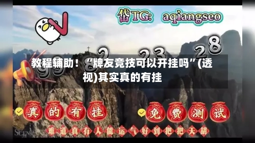 教程辅助！“牌友竞技可以开挂吗”(透视)其实真的有挂-第3张图片