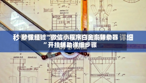 秒懂经验“微信小程序白金岛辅助器”开挂辅助详细步骤