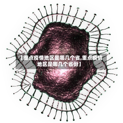 【重点疫情地区是哪几个省,重点疫情地区是哪几个省份】-第2张图片