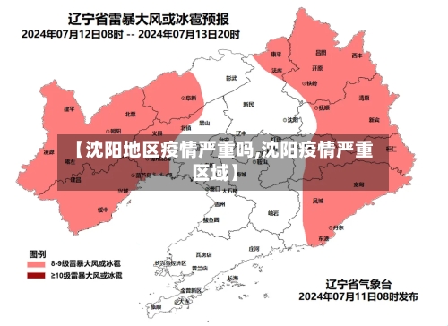 【沈阳地区疫情严重吗,沈阳疫情严重区域】