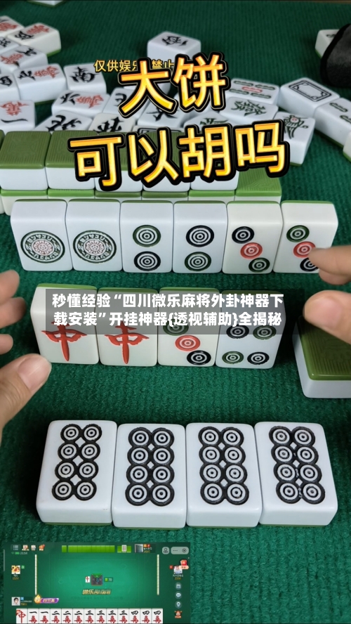 秒懂经验“四川微乐麻将外卦神器下载安装”开挂神器{透视辅助}全揭秘-第2张图片