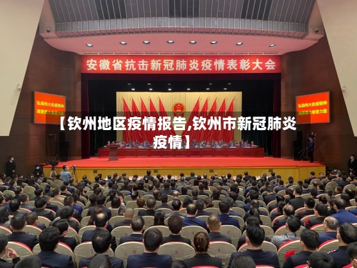 【钦州地区疫情报告,钦州市新冠肺炎疫情】-第3张图片