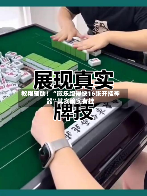 教程辅助!“微乐跑得快16张开挂神器”其实确实有挂