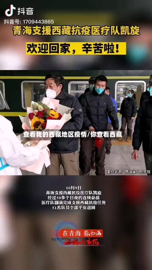 查看我的西藏地区疫情/你查看西藏-第2张图片