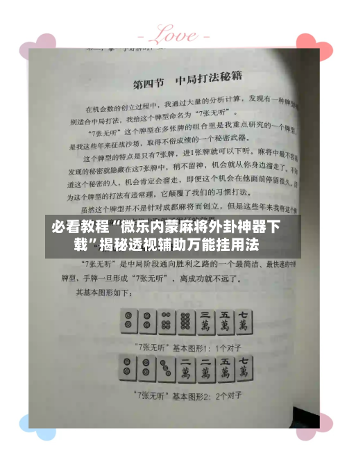 必看教程“微乐内蒙麻将外卦神器下载”揭秘透视辅助万能挂用法-第3张图片