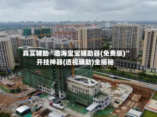 真实辅助“临海宝宝辅助器(免费版)”开挂神器{透视辅助}全揭秘