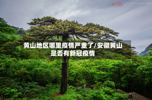 黄山地区哪里疫情严重了/安徽黄山是否有新冠疫情-第3张图片