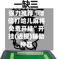 强力推荐“微信打哈儿麻将免费开挂	”开挂(透视)辅助神器-第2张图片
