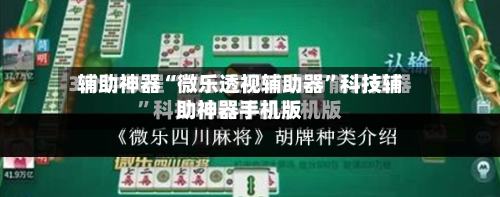 辅助神器“微乐透视辅助器	”科技辅助神器手机版-第2张图片