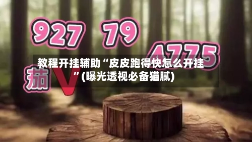 教程开挂辅助“皮皮跑得快怎么开挂	”(曝光透视必备猫腻)-第3张图片