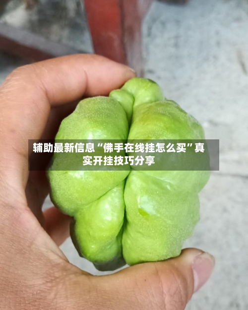 辅助最新信息“佛手在线挂怎么买”真实开挂技巧分享