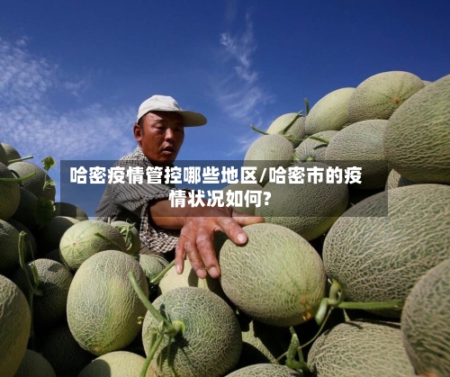 哈密疫情管控哪些地区/哈密市的疫情状况如何?-第2张图片