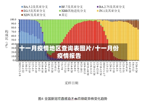 十一月疫情地区查询表图片/十一月份疫情报告-第2张图片