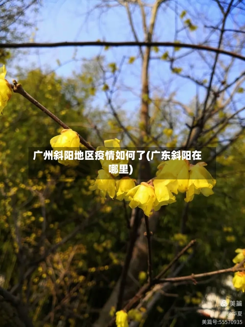 广州斜阳地区疫情如何了(广东斜阳在哪里)