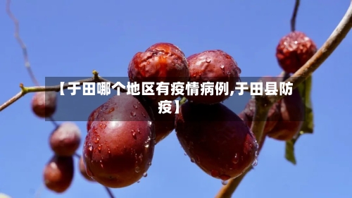 【于田哪个地区有疫情病例,于田县防疫】-第2张图片