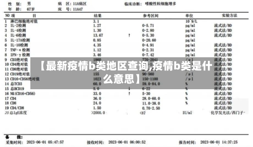 【最新疫情b类地区查询,疫情b类是什么意思】