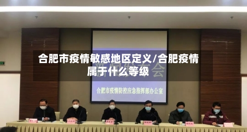 合肥市疫情敏感地区定义/合肥疫情属于什么等级-第2张图片