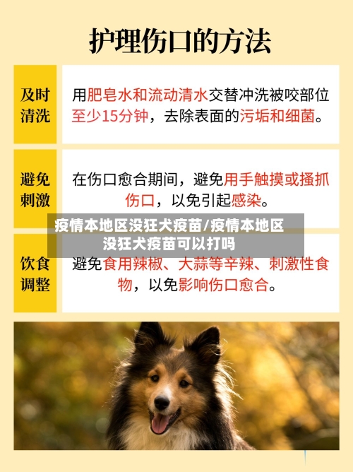 疫情本地区没狂犬疫苗/疫情本地区没狂犬疫苗可以打吗-第2张图片