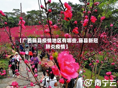 【广西藤县疫情地区有哪些,藤县新冠肺炎疫情】