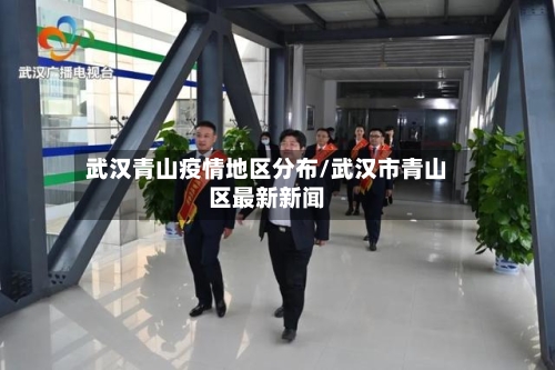 武汉青山疫情地区分布/武汉市青山区最新新闻-第3张图片