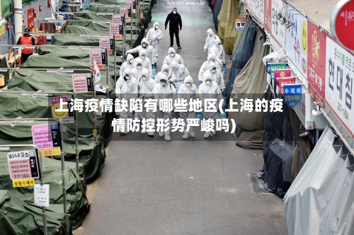 上海疫情缺陷有哪些地区(上海的疫情防控形势严峻吗)-第2张图片