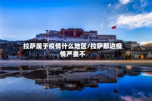 拉萨属于疫情什么地区/拉萨那边疫情严重不-第3张图片