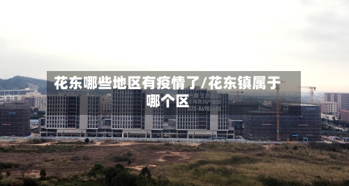 花东哪些地区有疫情了/花东镇属于哪个区
