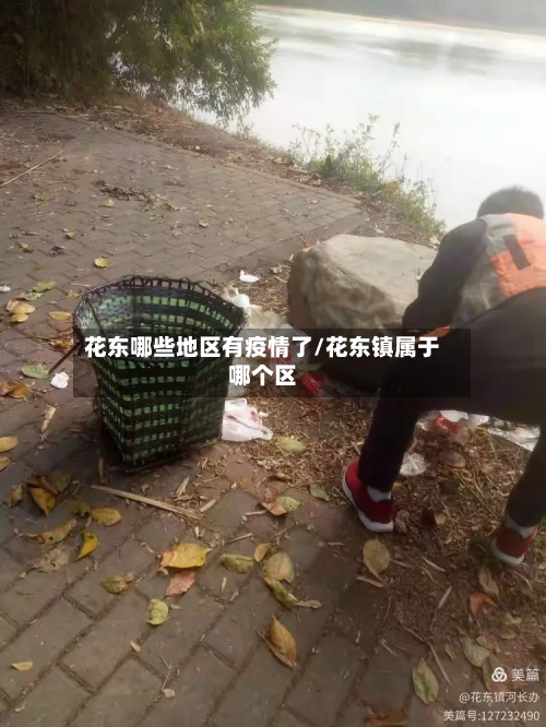 花东哪些地区有疫情了/花东镇属于哪个区-第2张图片