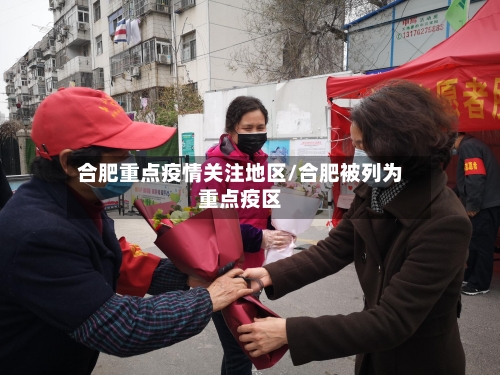 合肥重点疫情关注地区/合肥被列为重点疫区-第3张图片