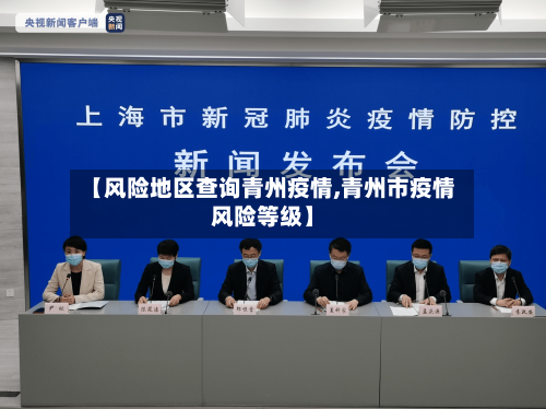 【风险地区查询青州疫情,青州市疫情风险等级】