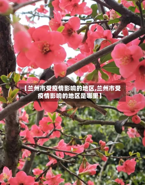 【兰州市受疫情影响的地区,兰州市受疫情影响的地区是哪里】-第2张图片