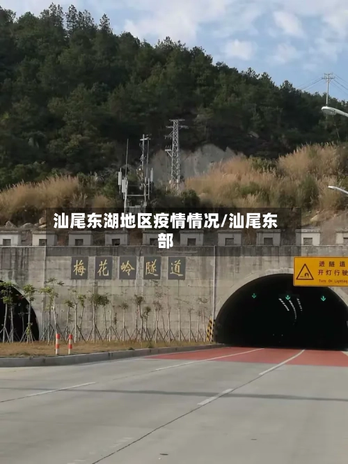 汕尾东湖地区疫情情况/汕尾东部