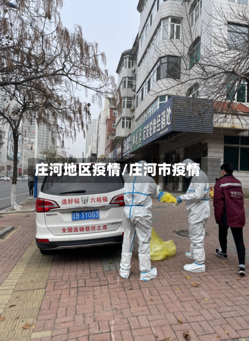 庄河地区疫情/庄河市疫情-第2张图片