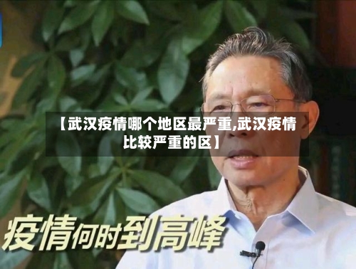 【武汉疫情哪个地区最严重,武汉疫情比较严重的区】-第3张图片