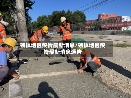 杨镇地区疫情最新消息/杨镇地区疫情最新消息通告
