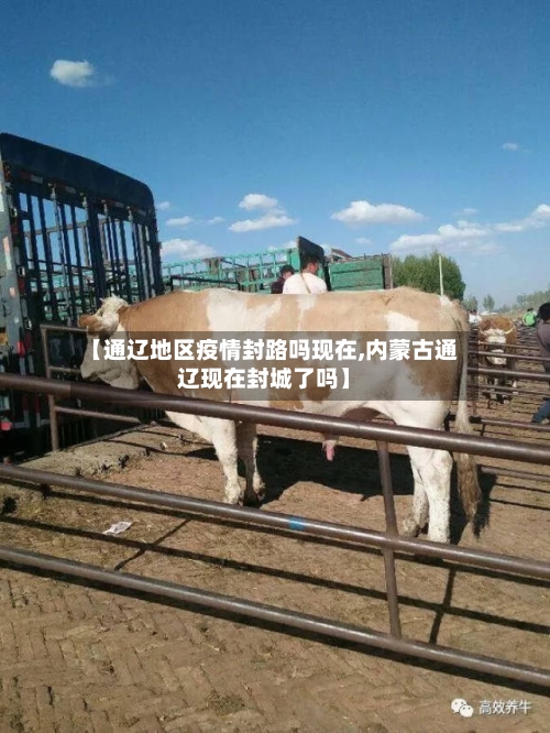 【通辽地区疫情封路吗现在,内蒙古通辽现在封城了吗】